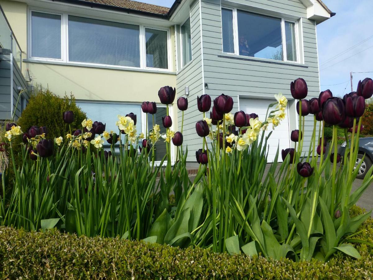 Bratton View Bed And Breakfast Barnstaple Exterior photo