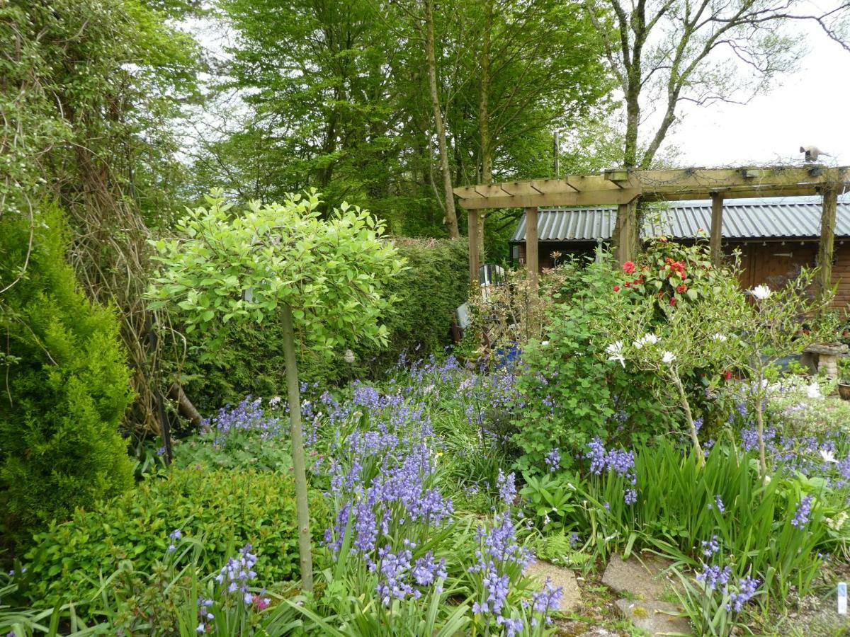 Bratton View Bed And Breakfast Barnstaple Exterior photo